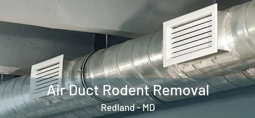  Air Duct Rodent Removal Redland - MD