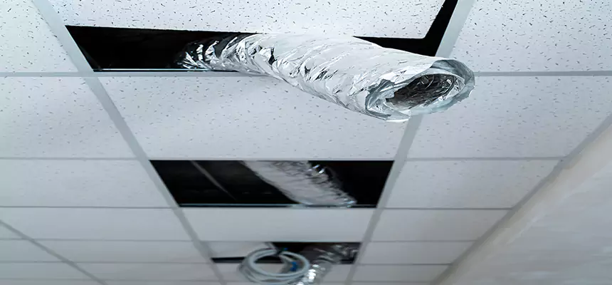 Affordable HVAC Sanitizing After Pest Removal in Redland