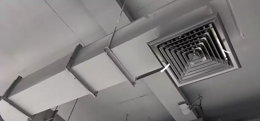 Our Pest Removal From Ducts Services in Redland, MD