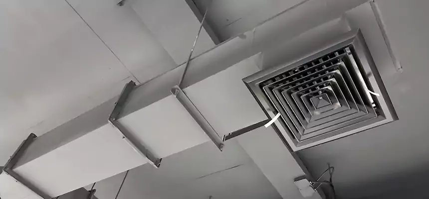 Our Rodent Droppings In Vents Services in Redland, MD