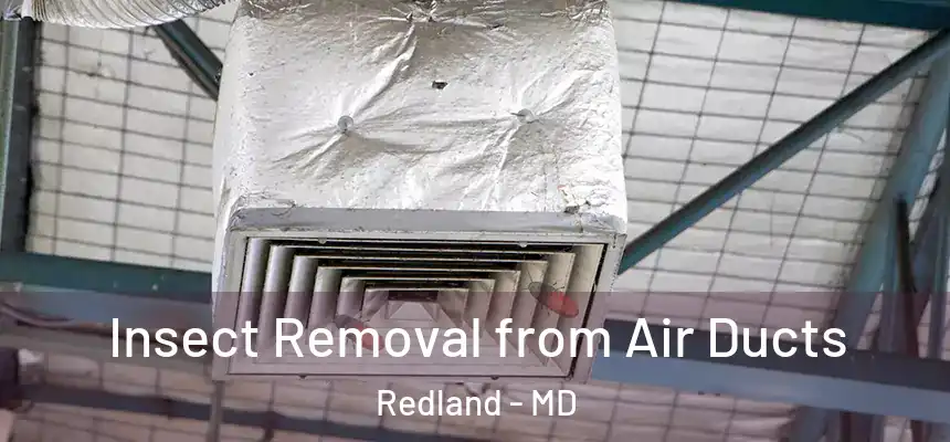  Insect Removal from Air Ducts Redland - MD