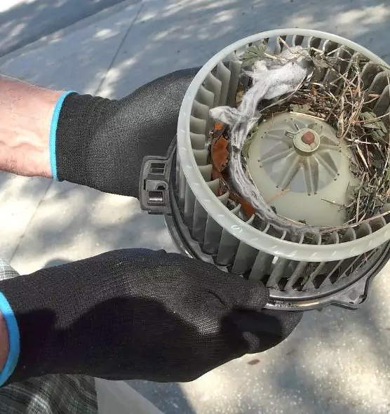 About Air Duct Mice Removal in Redland, MD