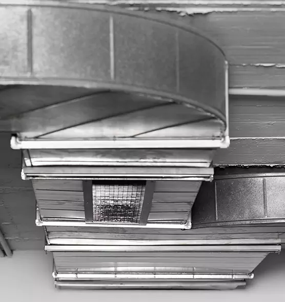 Professional Air Duct Pest Removal in Redland, MD