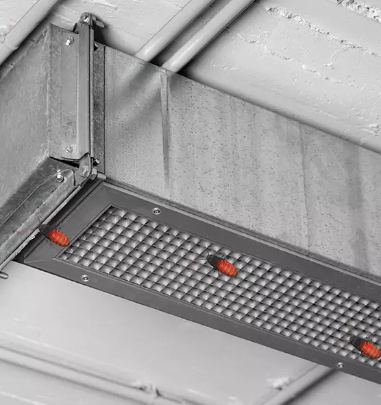 Affordable Insect Removal from Air Ducts in Redland, MD