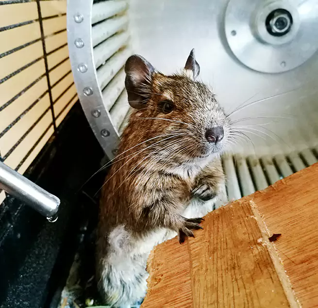 Why Homeowners & Businesses Trust Us Redland, MD